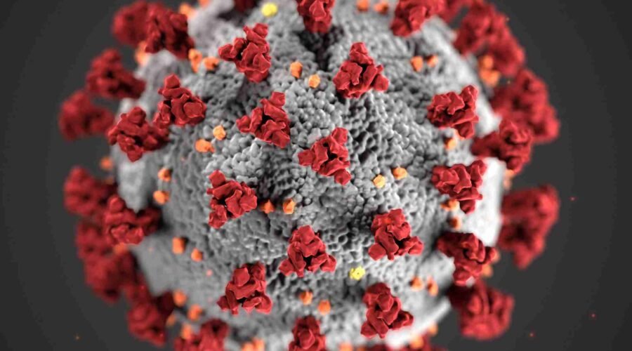 Coronavirus (COVID-19) Updates