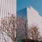 Nancy and Rich Kinder Building at the Museum of Fine Arts Houston 2