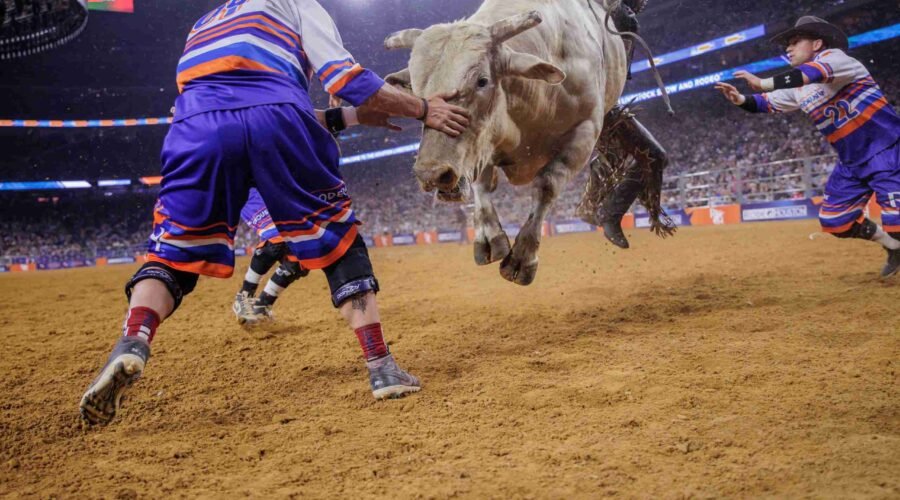 Houston Livestock Show and Rodeo