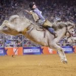 Houston Rodeo Bull Riding