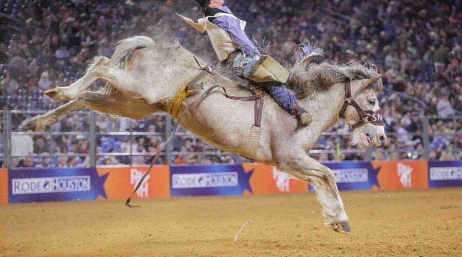 Unveiling the Spirit of Texas: The Houston Rodeo Experience