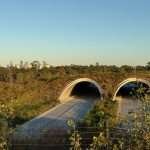 Memorial Park Houston Land Bridge and Scenic Views