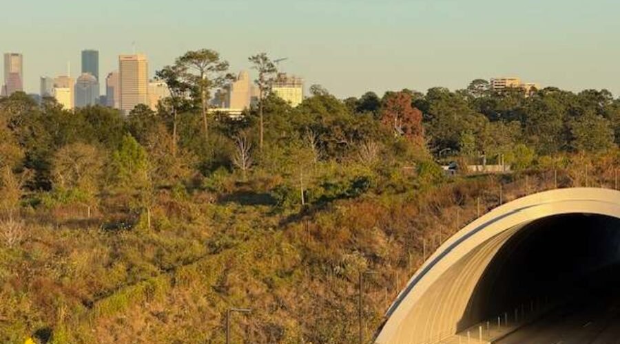 Travel Guide to Houston Memorial Park: A Nature Retreat with a Modern Twist