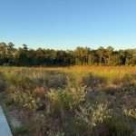 Memorial Park Houston Trail