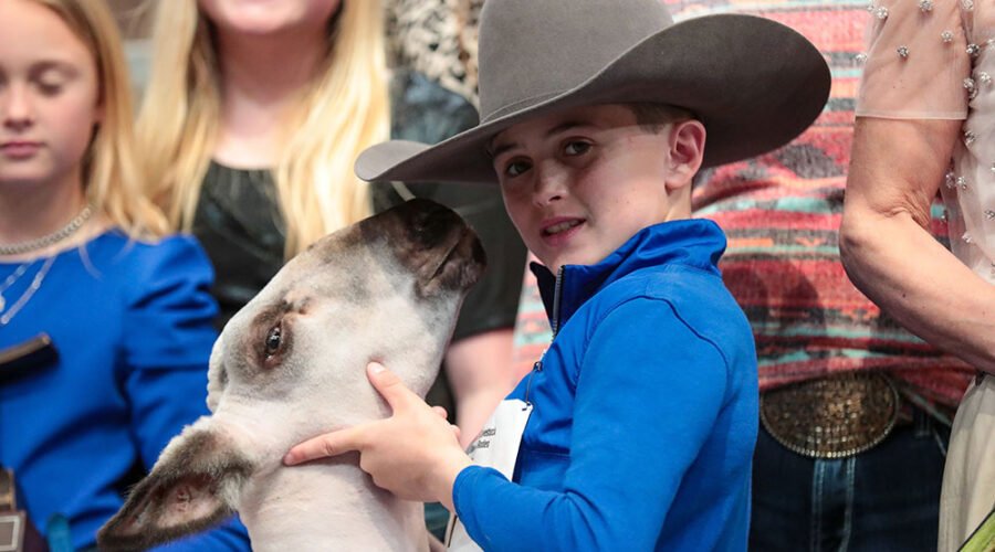 Guide to the Houston Rodeo Livestock Show