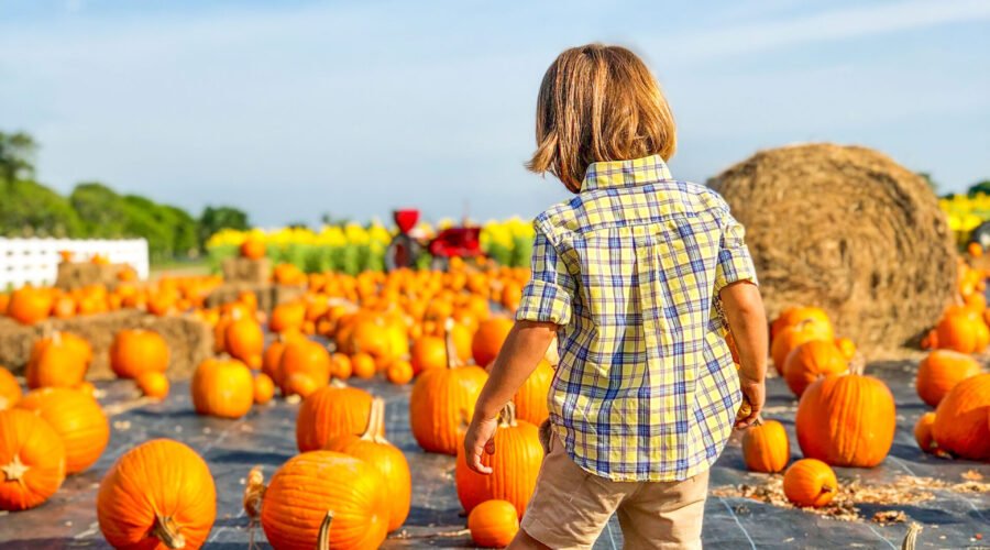 Houston Highlights: October 2025 Events & Festivals