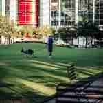 Discovery Green Houston